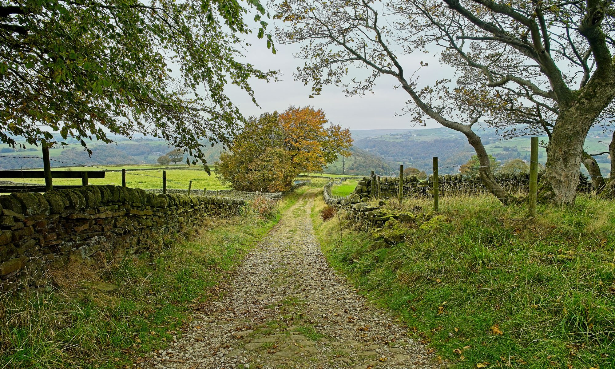 GettyImages-2246199211